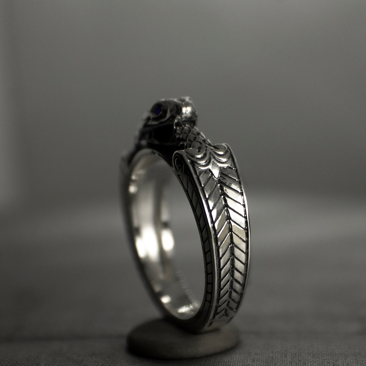 Ouroboros