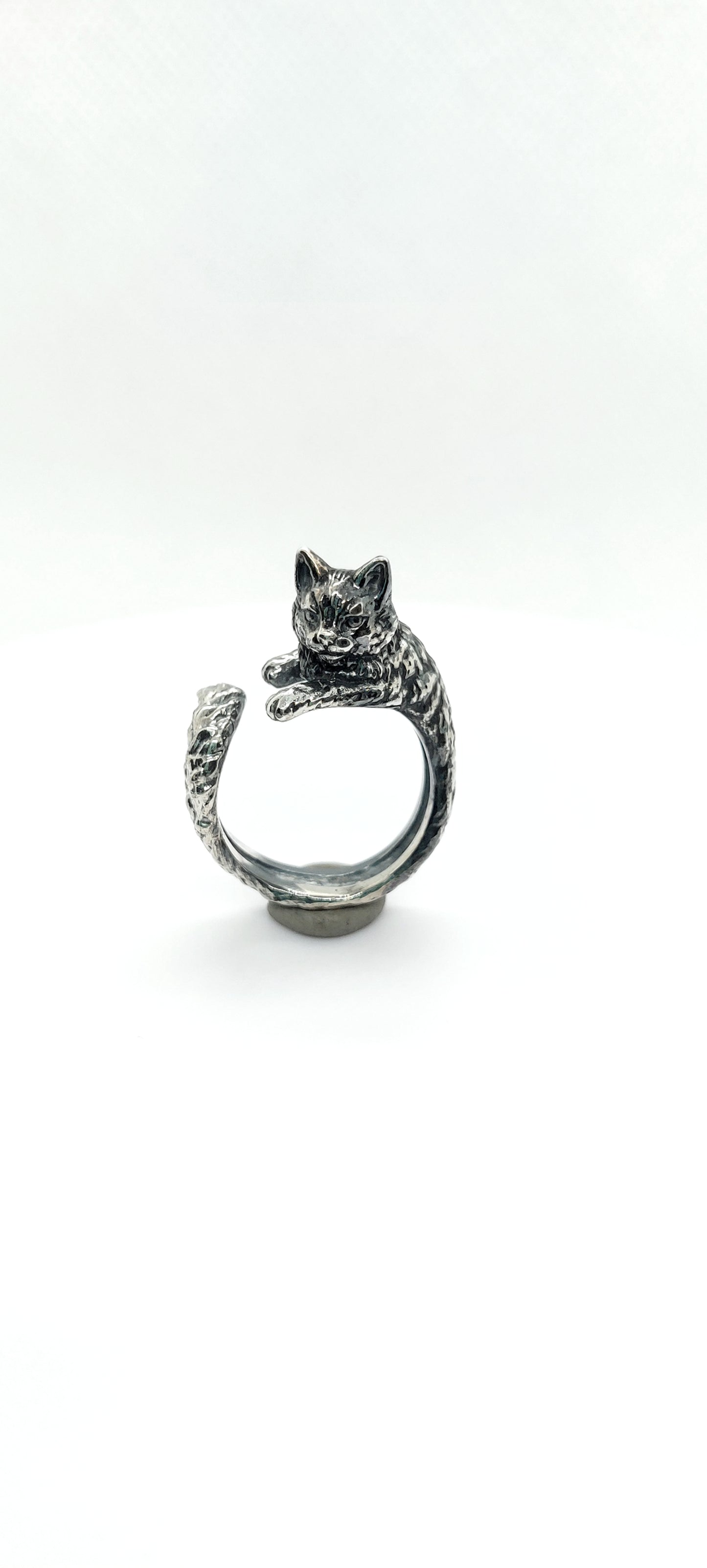 Anillo gato