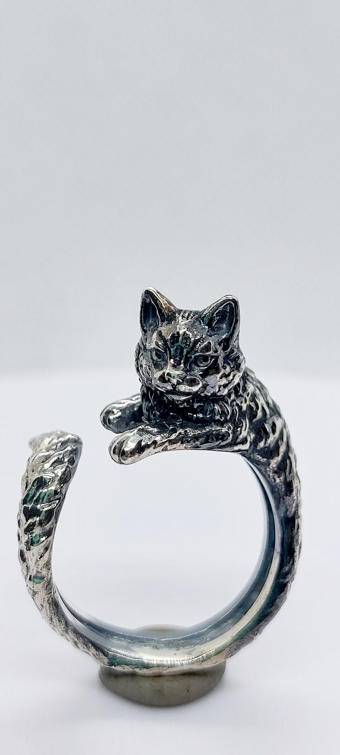 Anillo gato