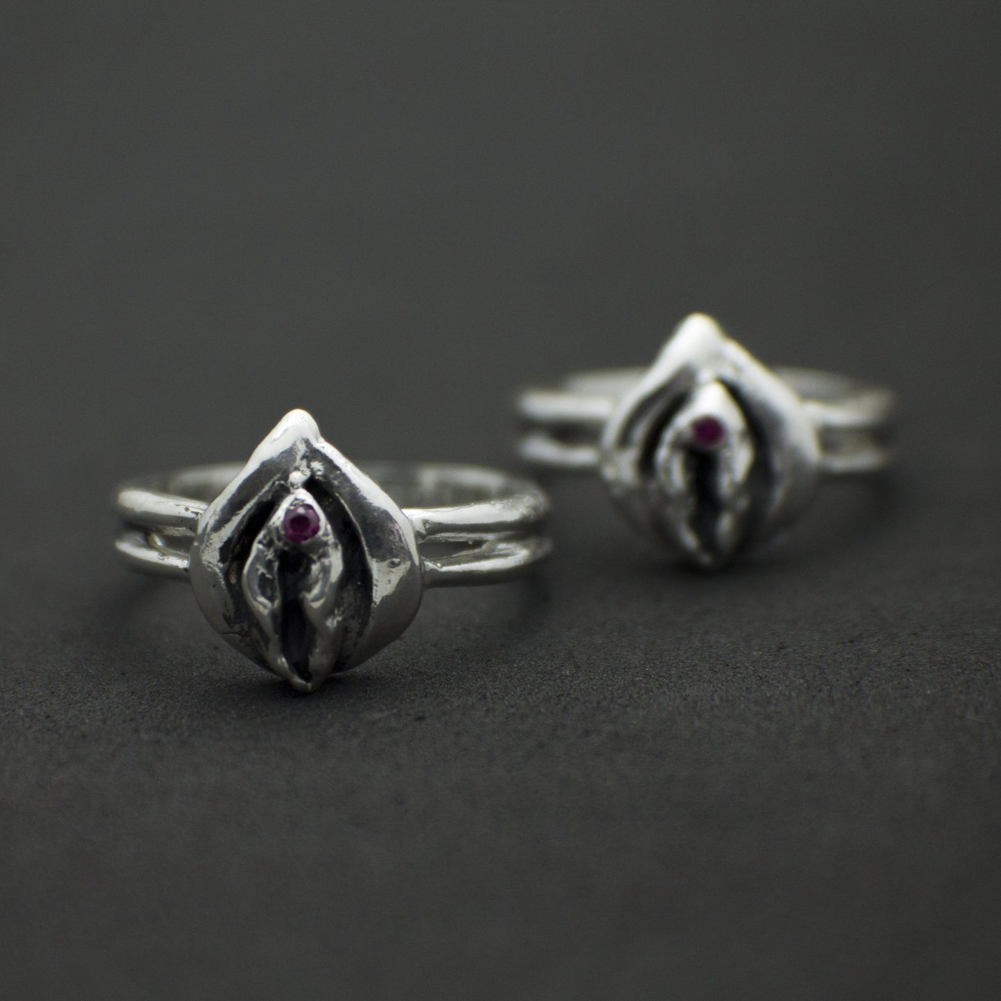 Anillo Vulva