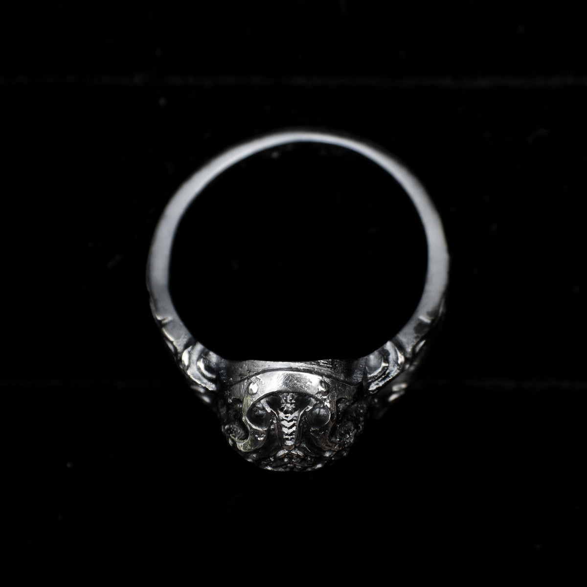 Anillo ARGONAUTA